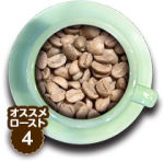 トロピカル マウンテン